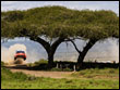 Fotografie ze Safari Rally Kenya 2026
