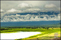 Safari Rally Kenya 2026
