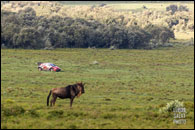Safari Rally Kenya 2026