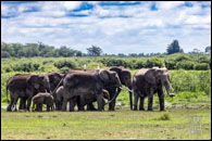 Safari Rally Kenya 2026